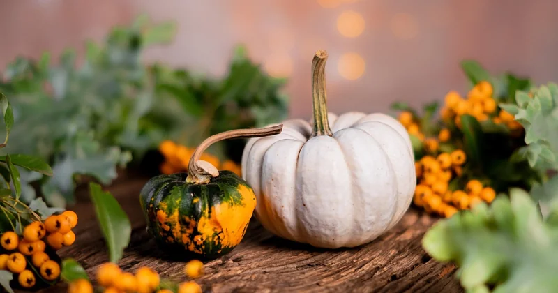 Quels légumes selon la saison (le tableau que je n'ai jamais trouvé)