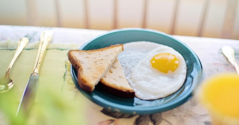 Plats vegetariens riches en proteines pour des repas equilibres