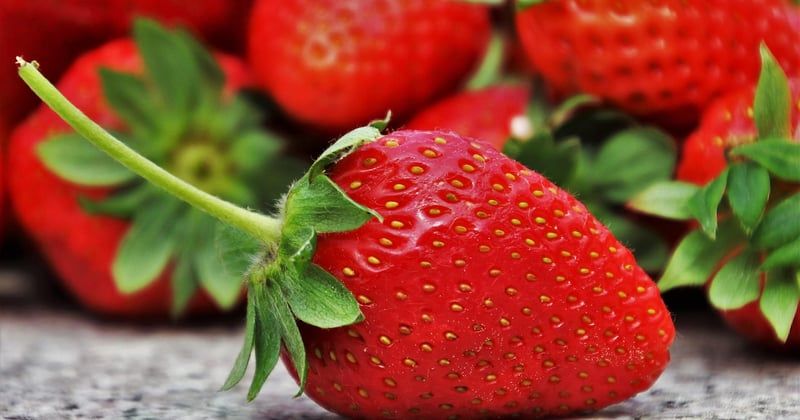 15 desserts aux fruits de saison légers et savoureux à tester