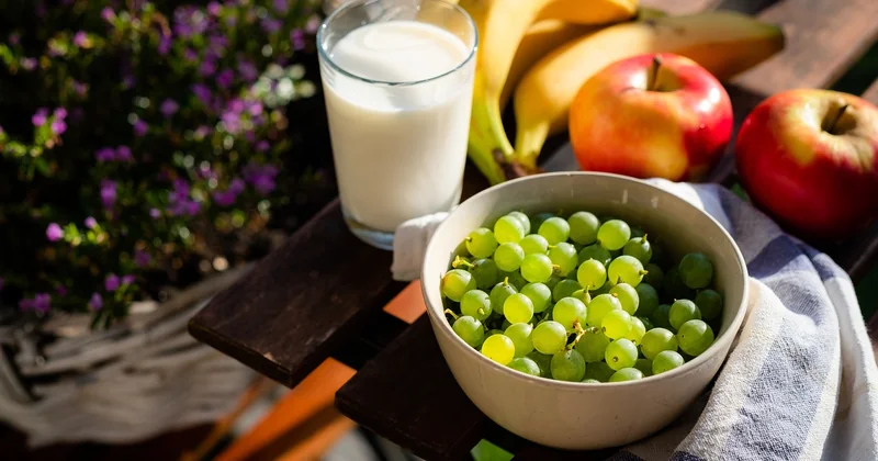 Buddha bowl végétarien ou vegan : la question des protéines végétales