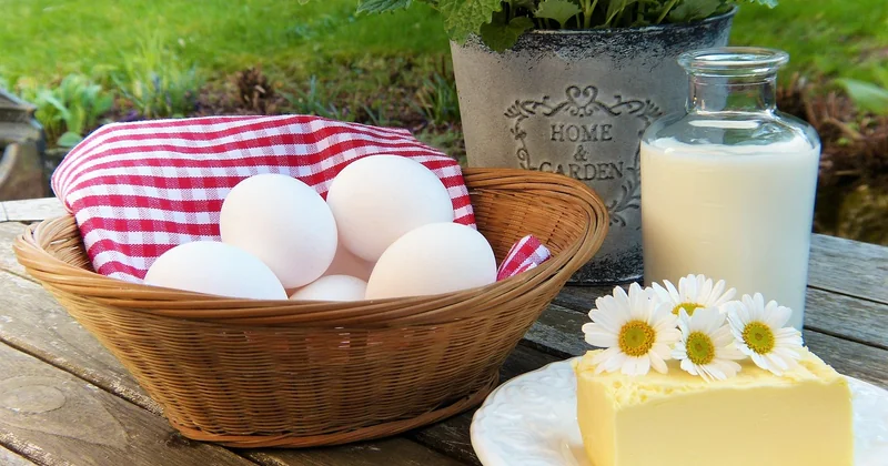 Un menu végétarien équilibré pour la semaine